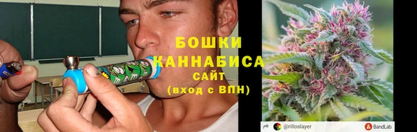мет Инсар