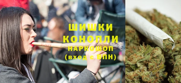 мет Инсар