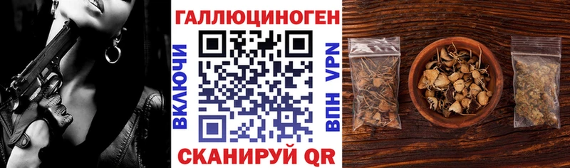 Псилоцибиновые грибы Cubensis  Купить закладки  Аткарск 